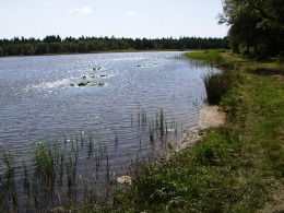 1e meer in Denemarken
